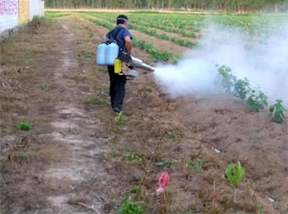 農用彌霧機